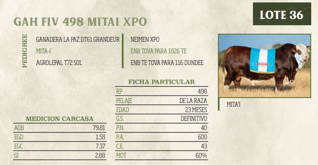 Lote LOTE 36