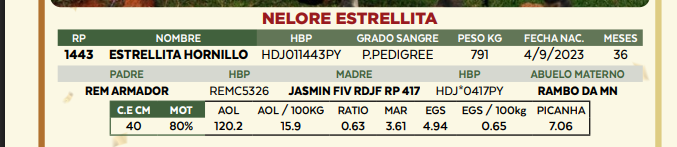 Lote LOTE 79