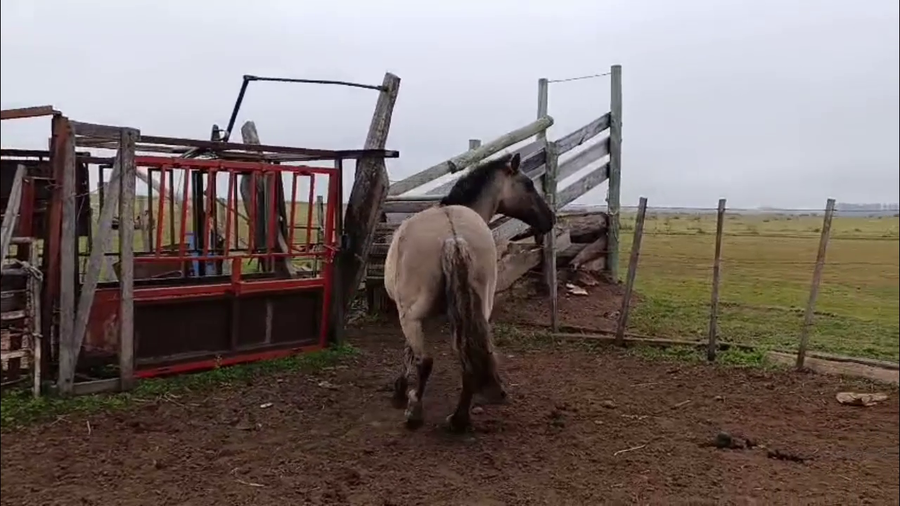 Lote SERRANIA DE LOS CARDOS