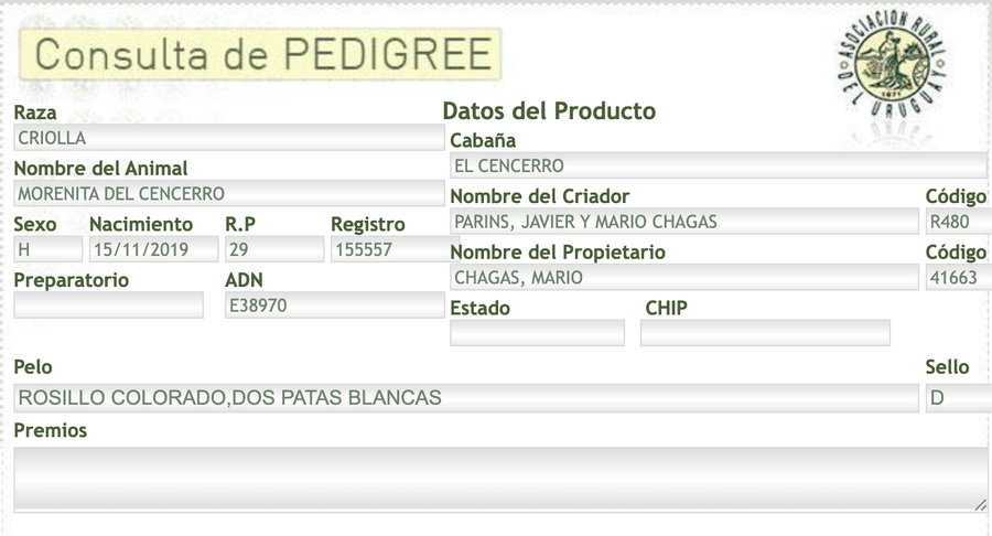 Lote Morenita Del Cencerro