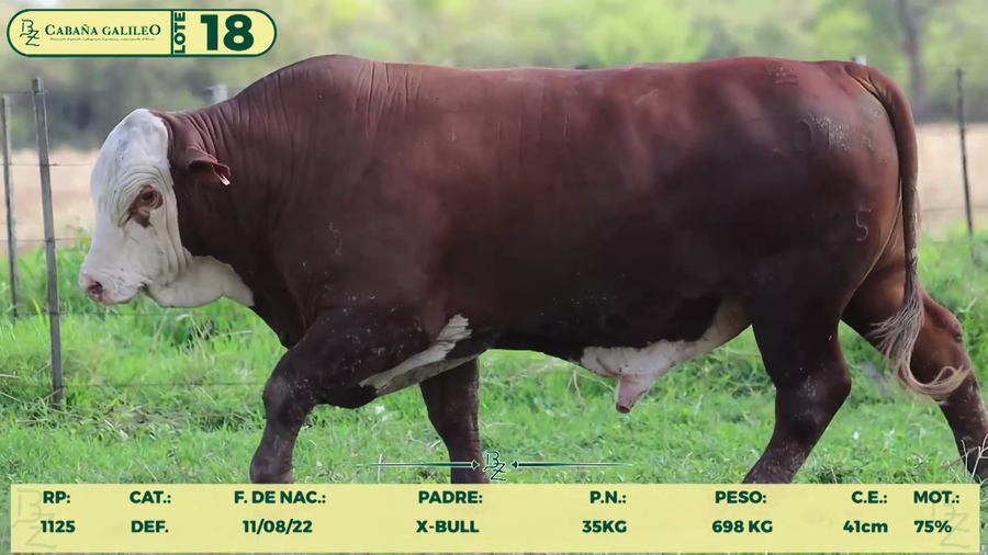 Lote LOTE 18