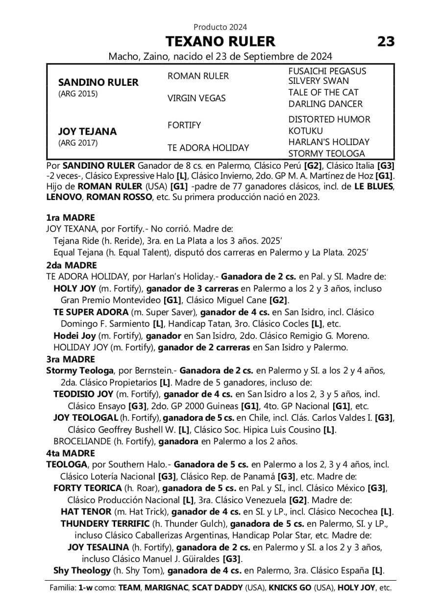 Lote TEXANO RULER (SANDINO RULER -  JOY TEJANA)