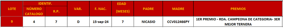 Lote LOTE 9