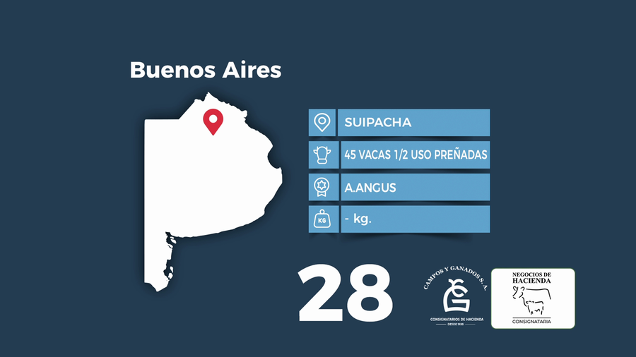Lote 45 Vacas medio uso C/ gtia de preñez en Buenos Aires, Suipacha