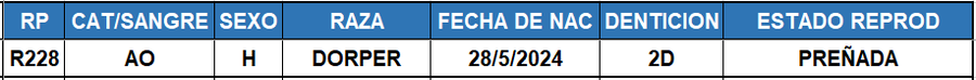 Lote LOTE 43
