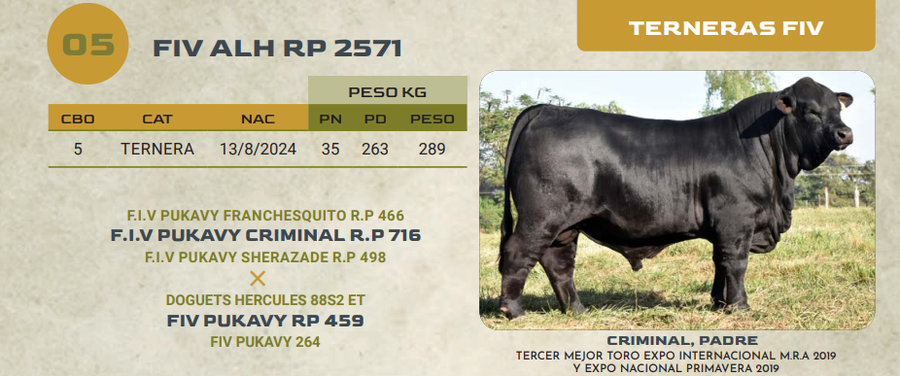Lote LOTE 5