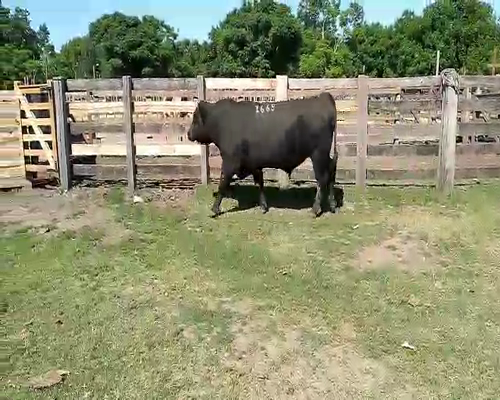 Lote 1 TORO PI en Melo, Cerro Largo