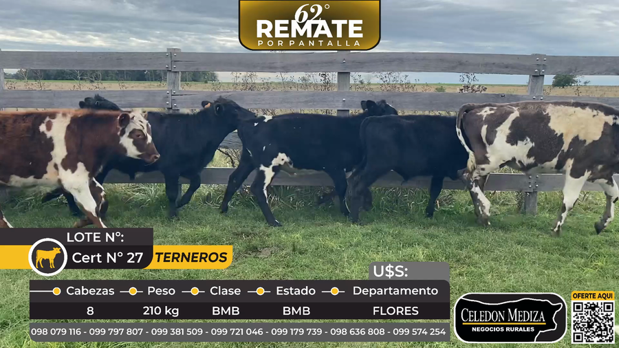 Lote 8 Terneros en Puntas del Sarandí, a 10 km de Trinidad, Flores