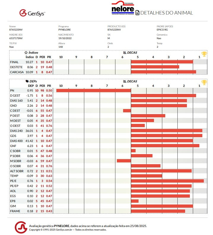 Lote LOTE 212 - POR PANTALLA