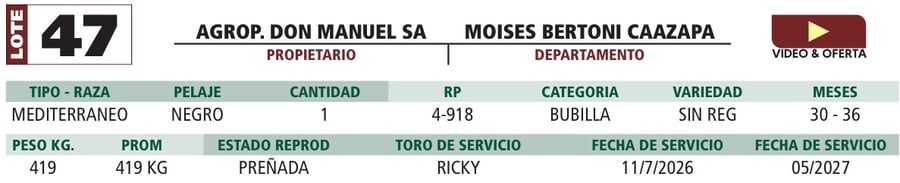 Lote LOTE 47