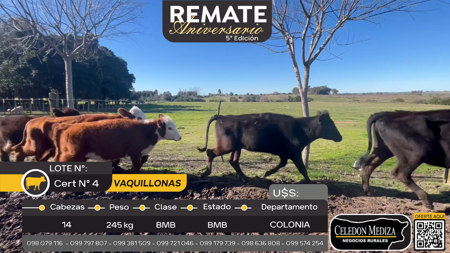 Lote 14 Vaquillonas  en Paso Antolín, Colonia