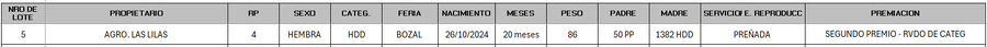 Lote LOTE 5 - BOZAL