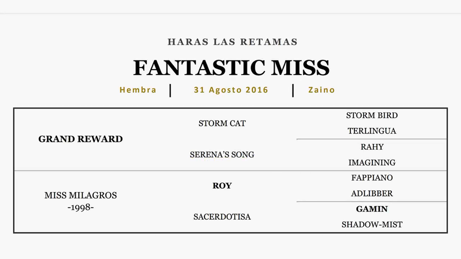 Lote FANTASTIC MISS (GRAND REWARD - MISS MILAGROS)