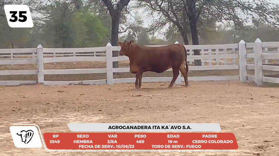 Lote LOTE 35-DE CAMPO