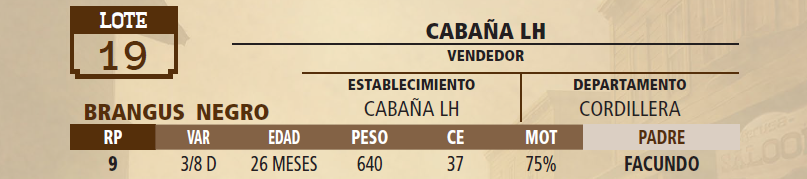 Lote LOTE 19 - VIVO