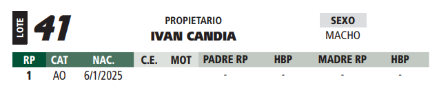 Lote LOTE 41