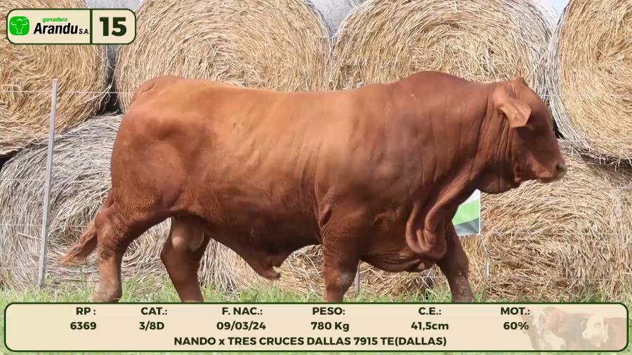 Lote LOTE 15