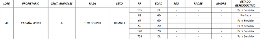 Lote LOTE 48 - POR PANTALLA