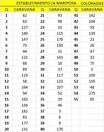 Lote 55 VAQUILLONAS ANGUS COLORADAS DE 330 KG  P/ ENTORAR, EN SAN ANTONIO DE ARECO, PBA.-