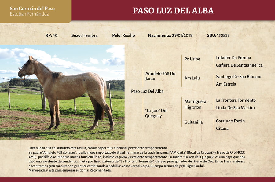 Lote Paso Luz Del Alba (RP) - Cabaña San Germán del Paso”