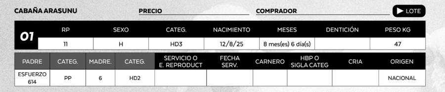 Lote LOTE 1