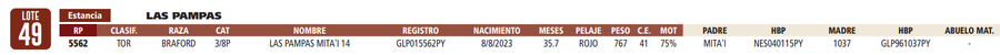 Lote LOTE 49