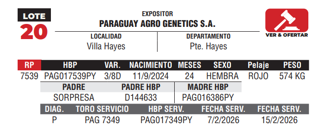 Lote LOTE 20 - DE CAMPO