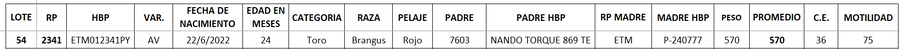 Lote LOTE 54