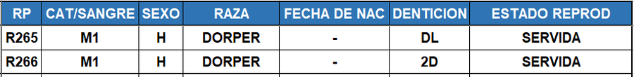 Lote LOTE 12
