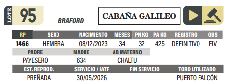 Lote LOTE 95