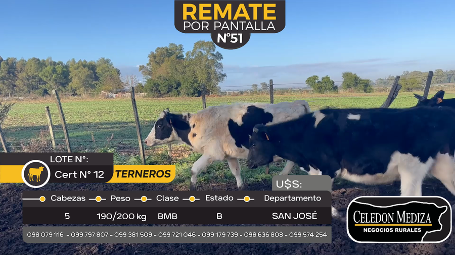 Lote 5 Terneros en San José , San José