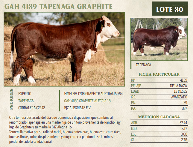 Lote LOTE 30