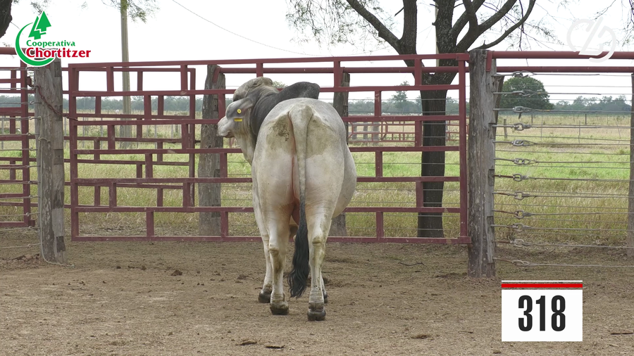 Lote Brahman