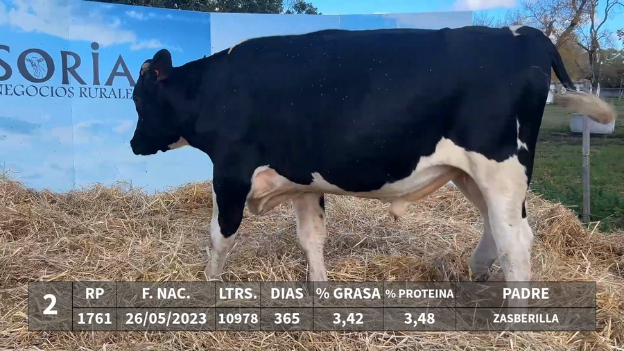 Lote LOTE 2 - RP 1761 - ZASBERILLA x KAROLINE 872 JUGGERNAUT MAX