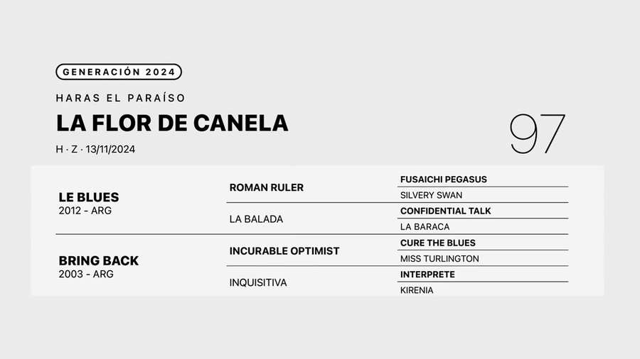 Lote LA FLOR DE CANELA