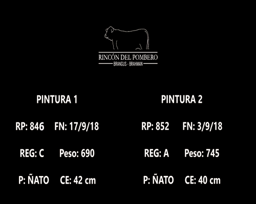 Lote DUO POMBERO 846 ; 852