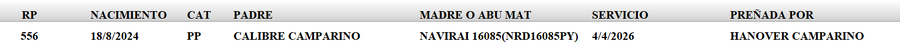 Lote LOTE 7