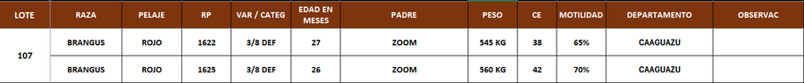 Lote LOTE 107