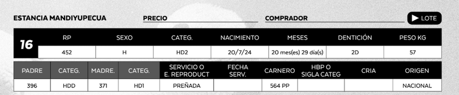 Lote LOTE 16