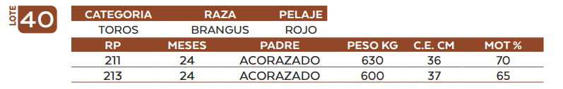 Lote LOTE 40