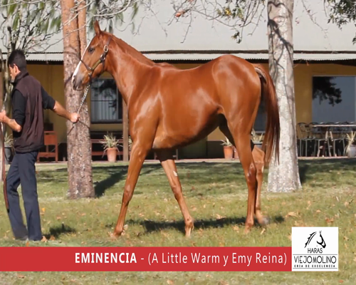 Lote EMINENCIA