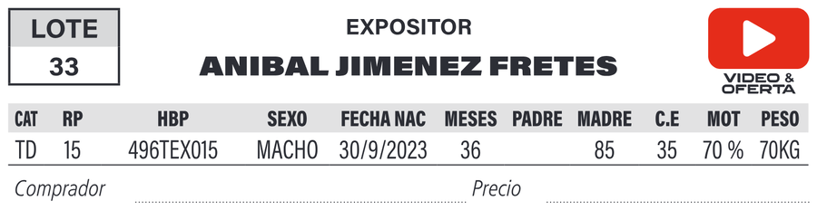 Lote LOTE 33