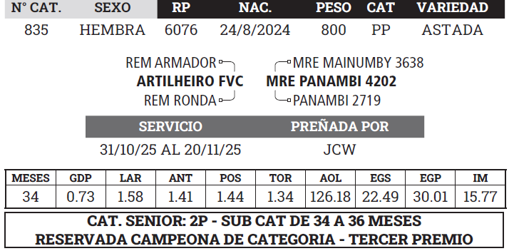 Lote LOTE 10 - BOZAL