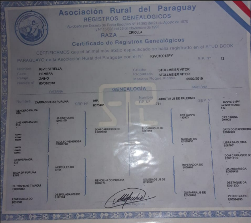 Lote LOTE 23- DE BOZAL