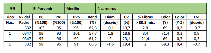 Lote 4 carneros