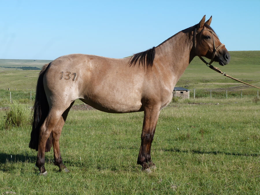 Lote Dulcinea del Cerro Grande