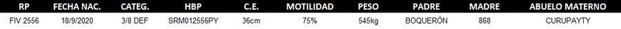Lote LOTE 63