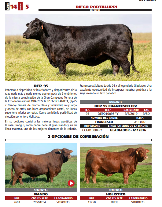 Lote LOTE 14