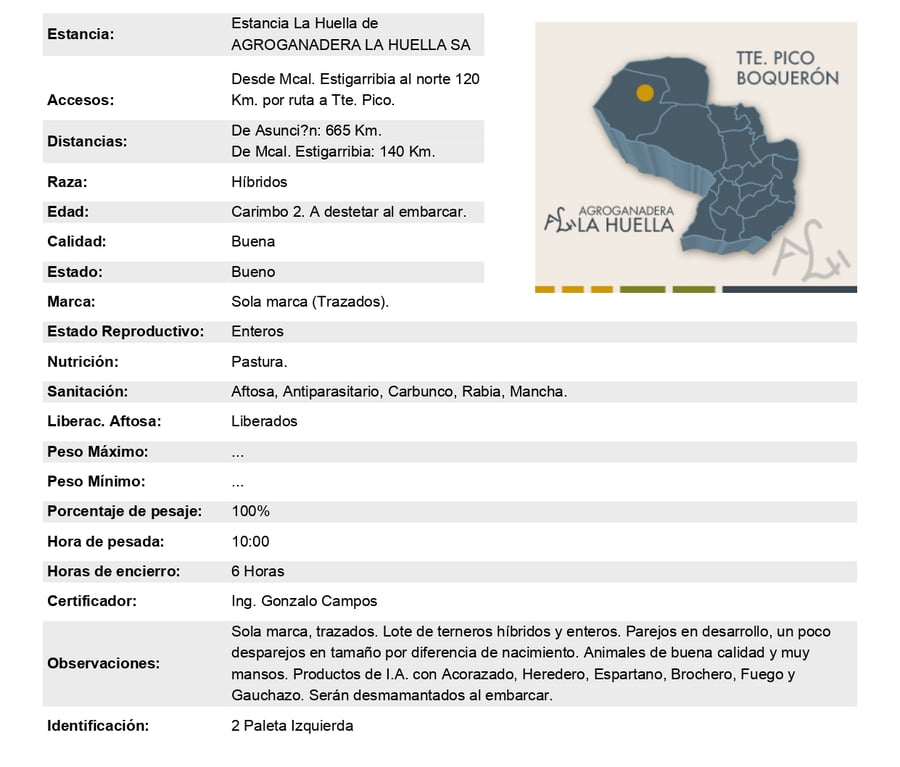 Lote Lote 7