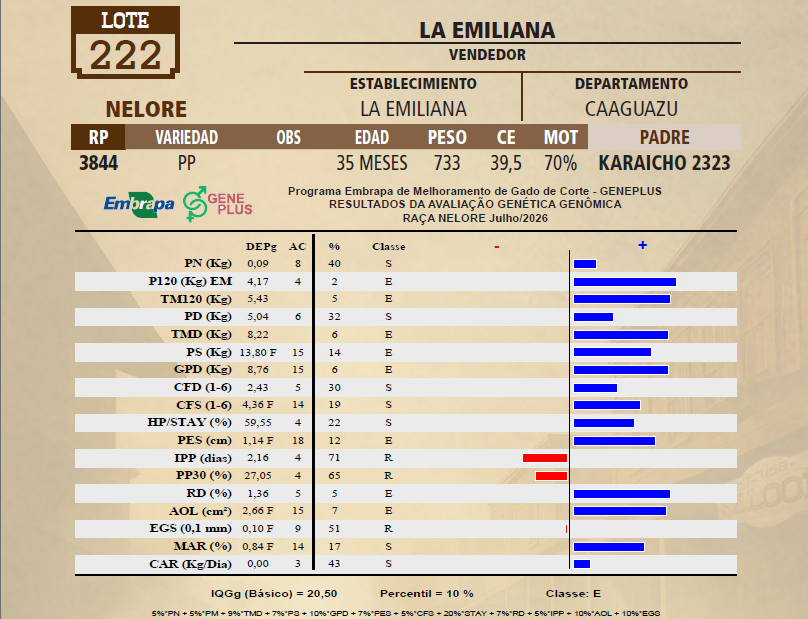 Lote LOTE 222 - VIVO